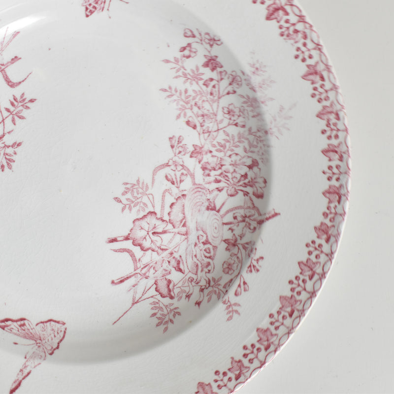 アンティーク深皿 オナン Moisson（モアソン） B