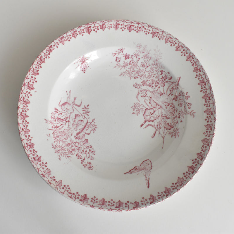 アンティーク深皿 オナン Moisson（モアソン） B