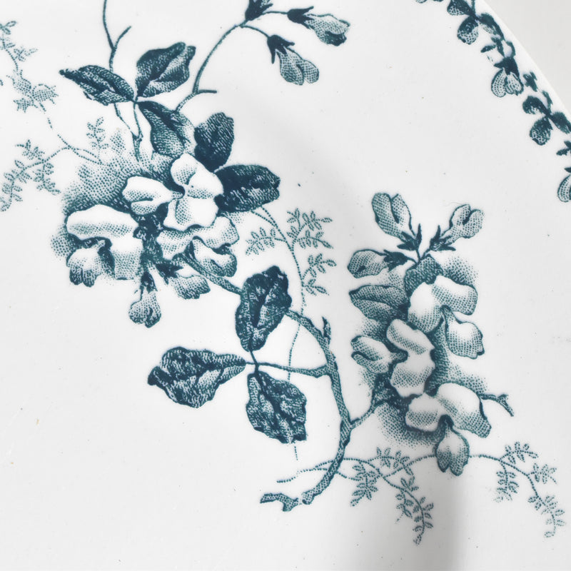 Antique Deep Plate, Saint-Amand Acacia B