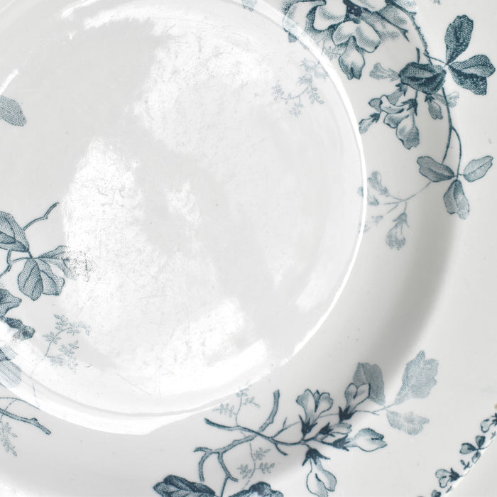 アンティーク深皿 サンタマン Acacia (アカシア） C