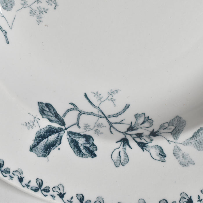 アンティーク深皿 サンタマン Acacia (アカシア） C