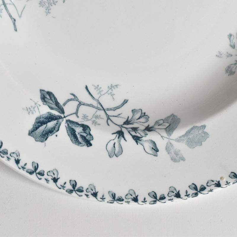 アンティーク深皿 サンタマン Acacia (アカシア） C