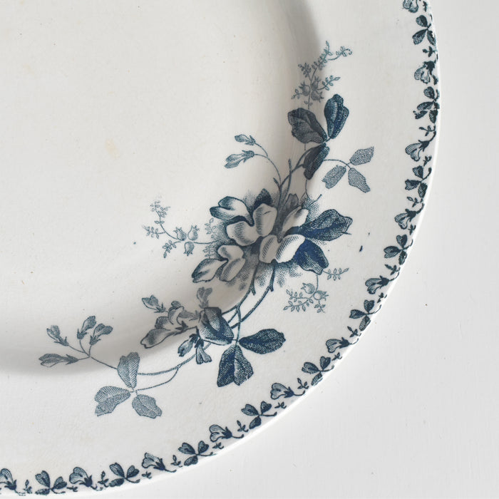 アンティーク深皿 サンタマン Acacia (アカシア） D