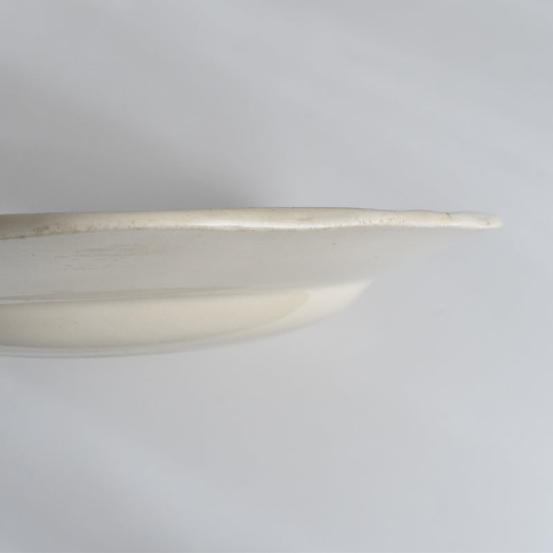 Vintage Deep Plate: Digoin & Sarreguemines, Floral Rim