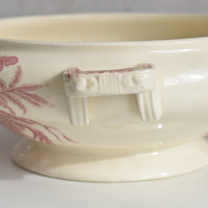 アンティークスーピエール/レギュミエ ロンシャン Exotique(エクソティーク）