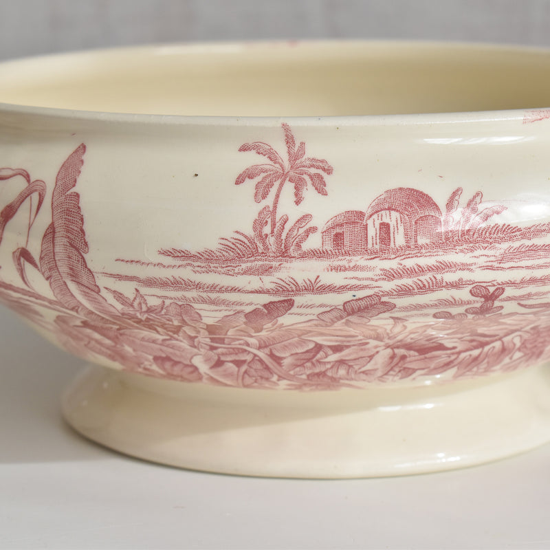 アンティークスーピエール/レギュミエ ロンシャン Exotique(エクソティーク）