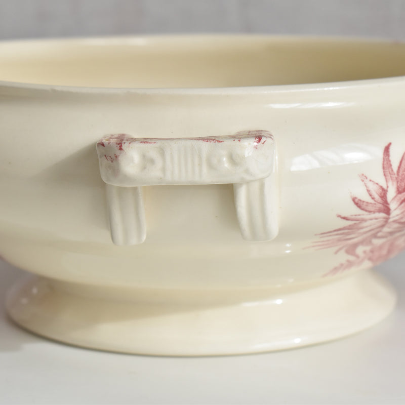 アンティークスーピエール/レギュミエ ロンシャン Exotique(エクソティーク）