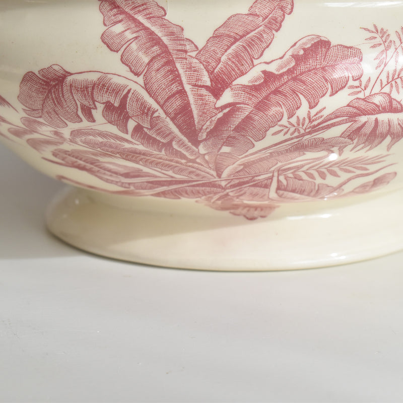 アンティークスーピエール/レギュミエ ロンシャン Exotique(エクソティーク）