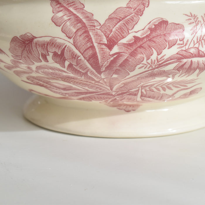 アンティークスーピエール/レギュミエ ロンシャン Exotique(エクソティーク）