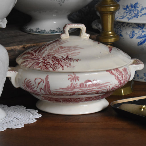 アンティークスーピエール/レギュミエ ロンシャン Exotique(エクソティーク）