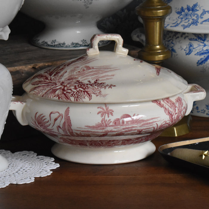 アンティークスーピエール/レギュミエ ロンシャン Exotique(エクソティーク）