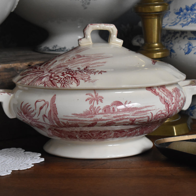 アンティークスーピエール/レギュミエ ロンシャン Exotique(エクソティーク）