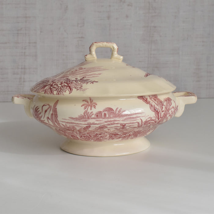 アンティークスーピエール/レギュミエ ロンシャン Exotique(エクソティーク）