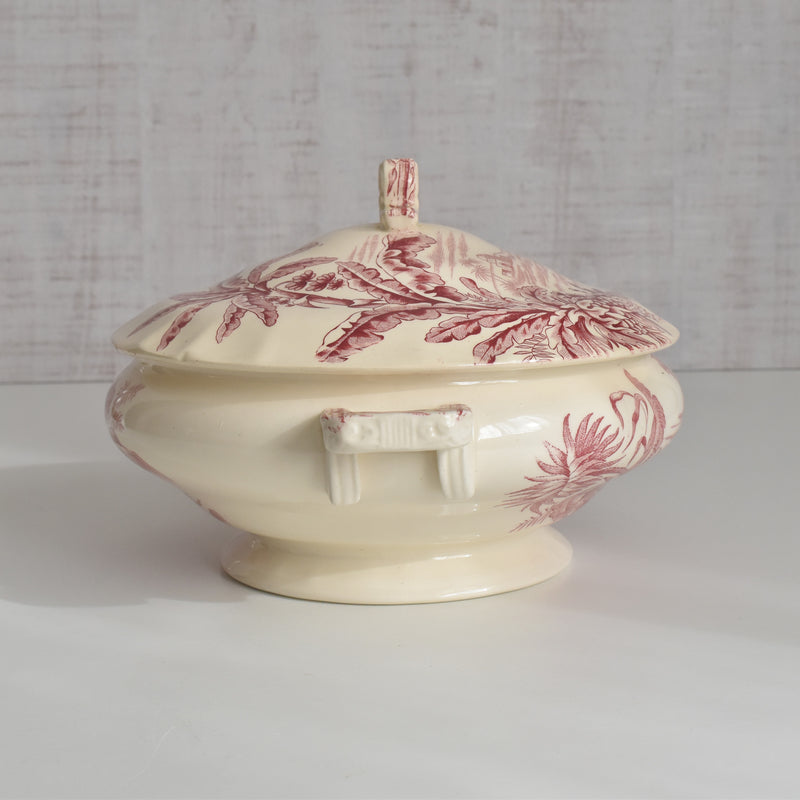 アンティークスーピエール/レギュミエ ロンシャン Exotique(エクソティーク）