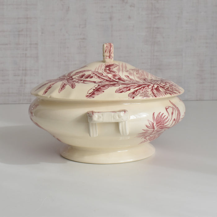 アンティークスーピエール/レギュミエ ロンシャン Exotique(エクソティーク）