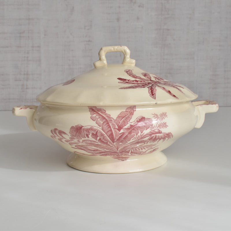 アンティークスーピエール/レギュミエ ロンシャン Exotique(エクソティーク）