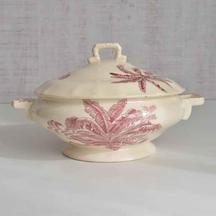 アンティークスーピエール/レギュミエ ロンシャン Exotique(エクソティーク）