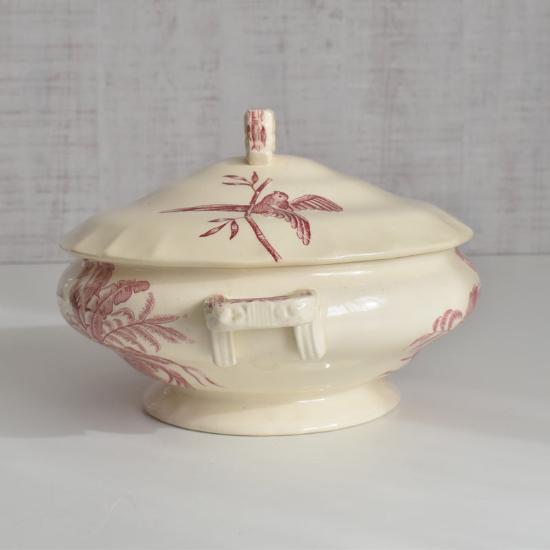 アンティークスーピエール/レギュミエ ロンシャン Exotique(エクソティーク）