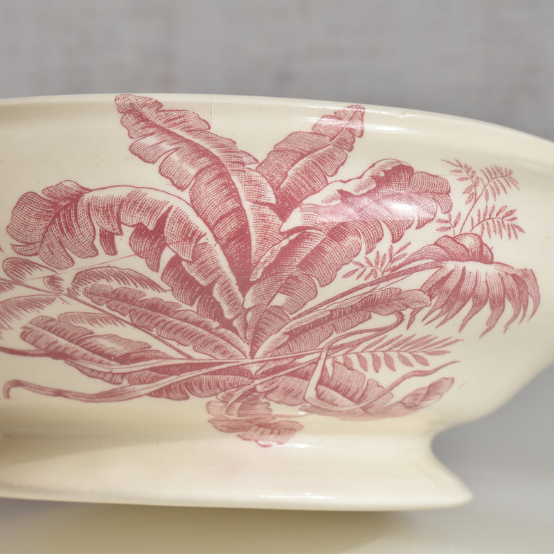 アンティークスーピエール/レギュミエ ロンシャン Exotique(エクソティーク）