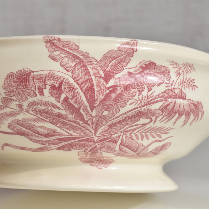 アンティークスーピエール/レギュミエ ロンシャン Exotique(エクソティーク）