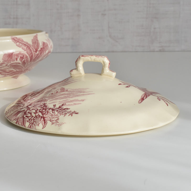 アンティークスーピエール/レギュミエ ロンシャン Exotique(エクソティーク）