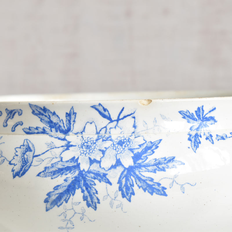 Antique soup tureen, Saint-Amand Anémone