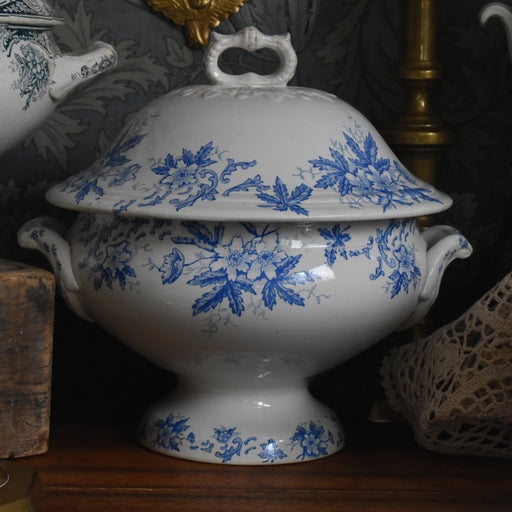 アンティークスーピエール サンタマン Anémone（アネモネ）