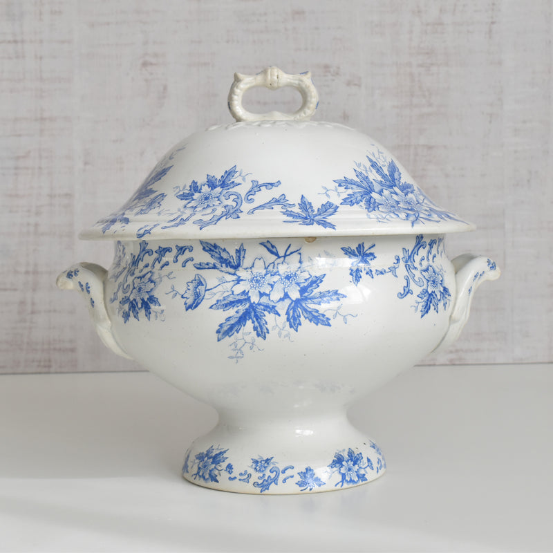 Antique soup tureen, Saint-Amand Anémone