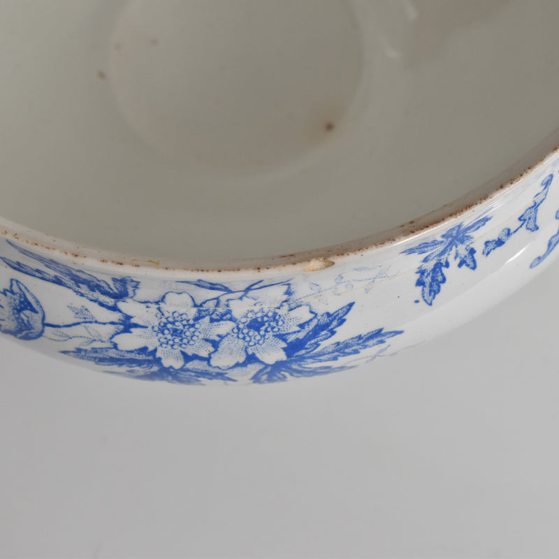Antique soup tureen, Saint-Amand Anémone