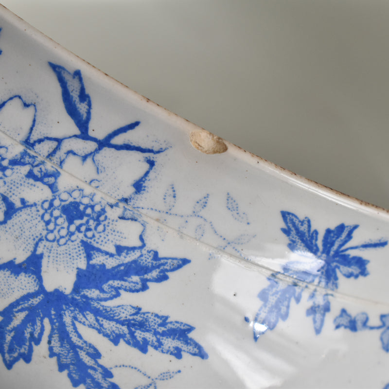 Antique soup tureen, Saint-Amand Anémone