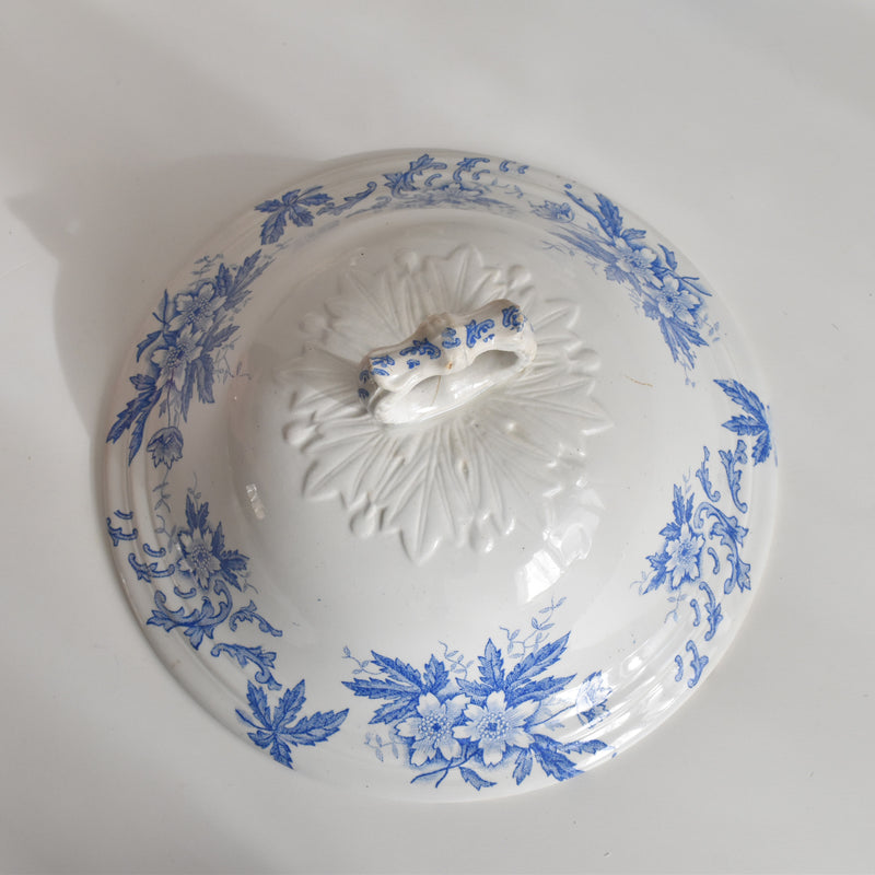 Antique soup tureen, Saint-Amand Anémone