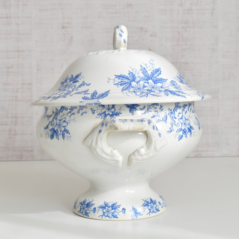 Antique soup tureen, Saint-Amand Anémone