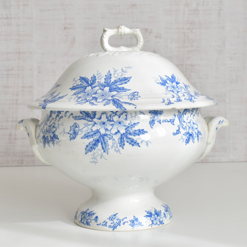 Antique soup tureen, Saint-Amand Anémone