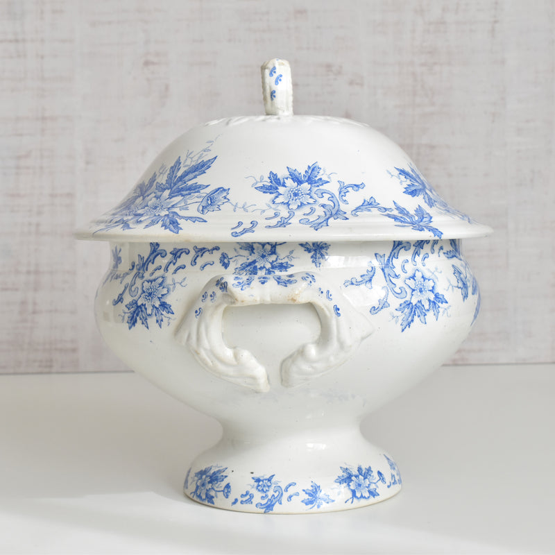 Antique soup tureen, Saint-Amand Anémone