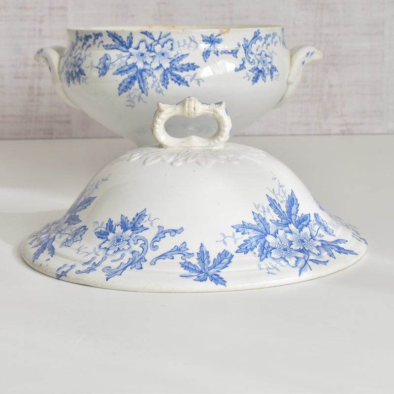 Antique soup tureen, Saint-Amand Anémone