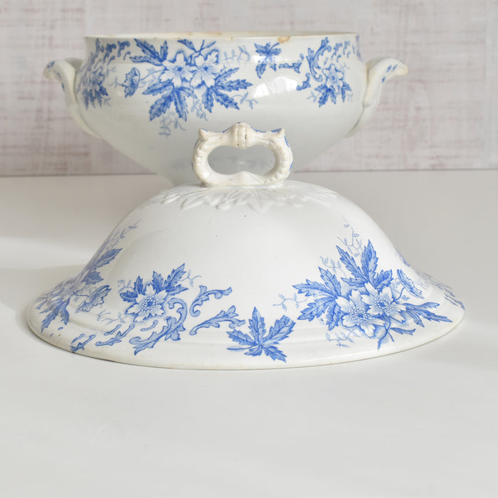 アンティークスーピエール サンタマン Anémone（アネモネ）