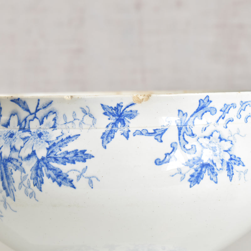 Antique soup tureen, Saint-Amand Anémone