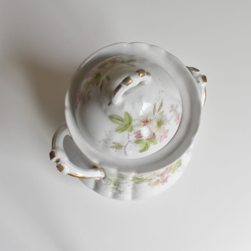 Antique sugar pot, Limoges B