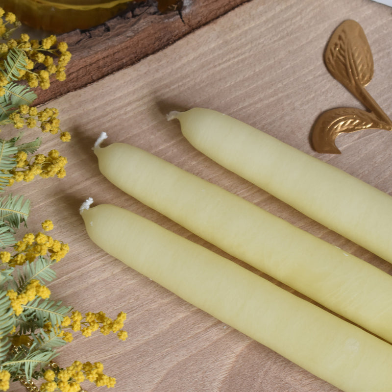 シエルジュコニック　（テーパーキャンドル）　20cm Jaune Pastel　（パステルイェロー）