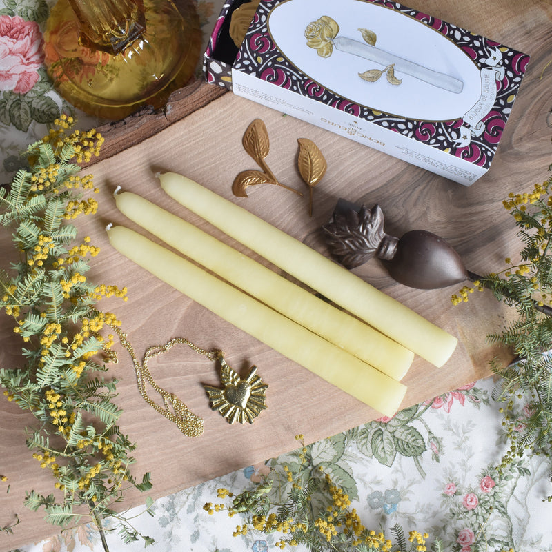 シエルジュコニック　（テーパーキャンドル）　20cm Jaune Pastel　（パステルイェロー）