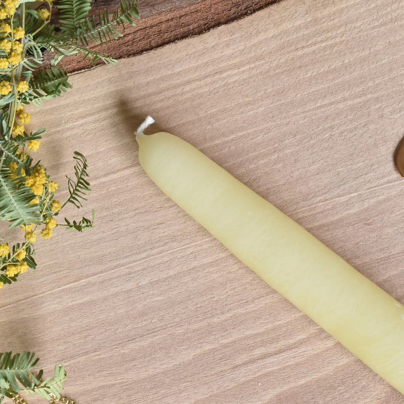 シエルジュコニック　（テーパーキャンドル）　20cm Jaune Pastel　（パステルイェロー）