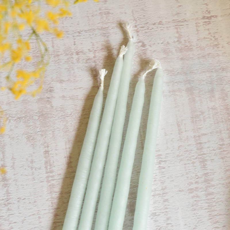 Taper Candles Anniversary Céladon (Celadon) Set of 5