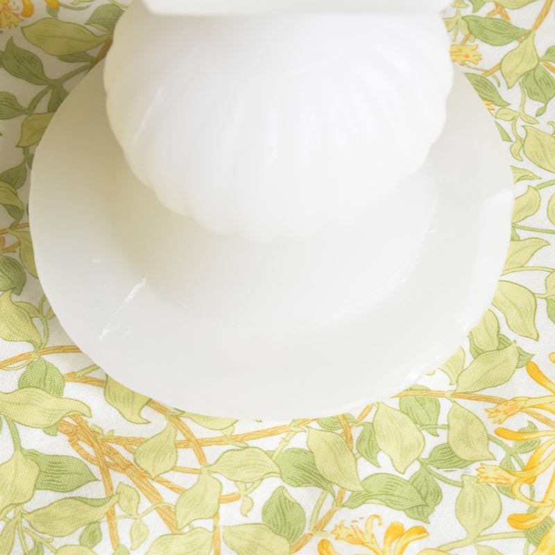 蝋オブジェ　メディシス Blanc (ホワイト)