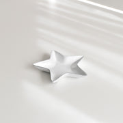 Rêves d'Argile/レーヴダルジル スモールプレート スターA