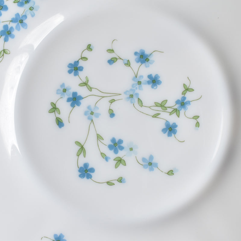 Vintage Dessert Plate, Arcopal Myosotis (Forget-me-not) B