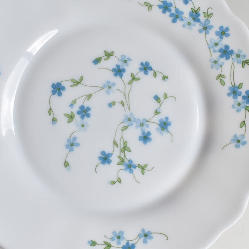 Vintage Dessert Plate Arcopal Myosotis (Forget-me-not) C