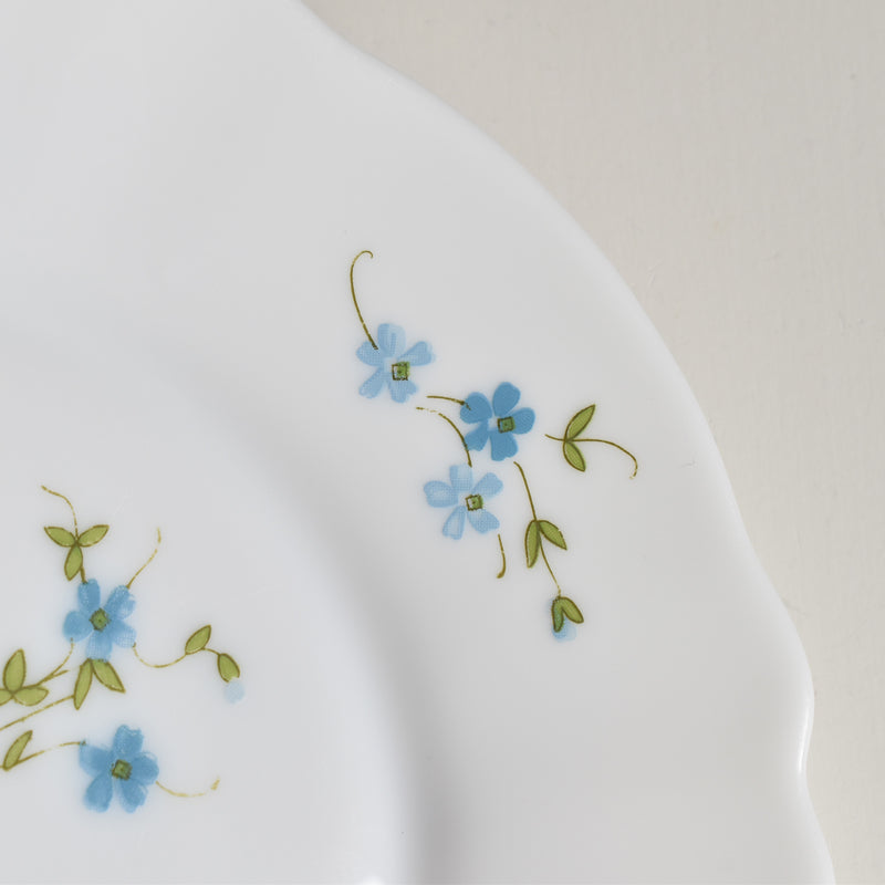 Vintage Dessert Plate Arcopal Myosotis D