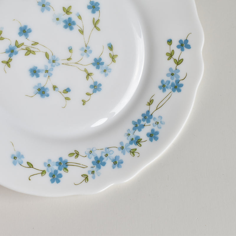 Vintage Dessert Plate Arcopal Myosotis D