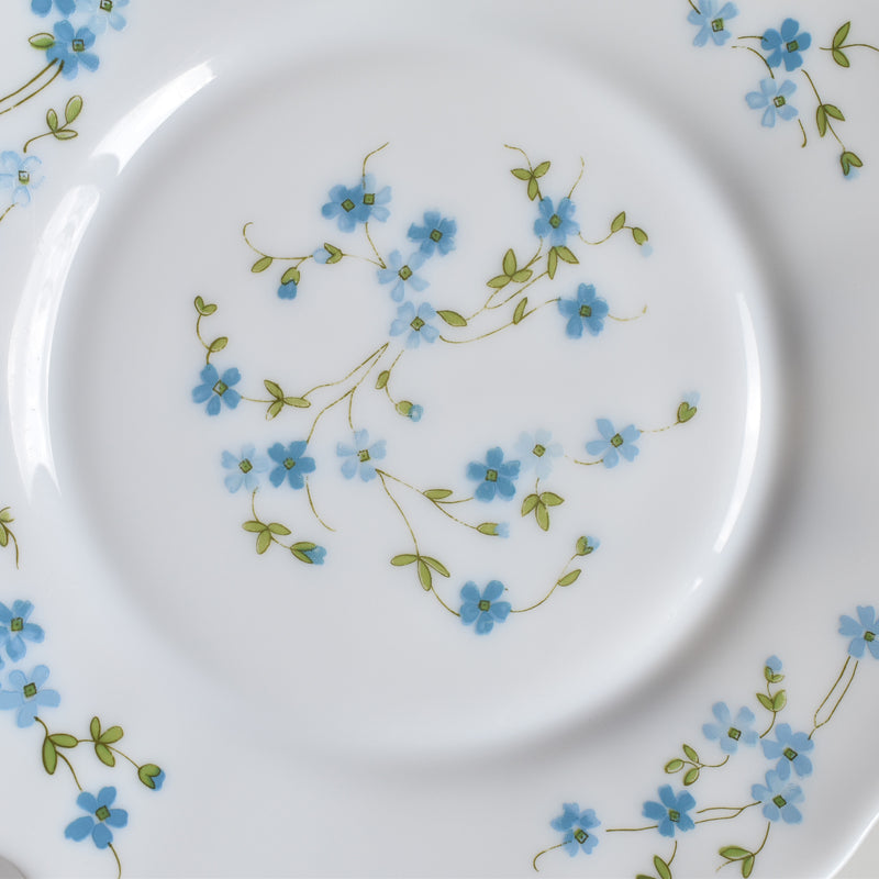 Vintage Dessert Plate Arcopal Myosotis D