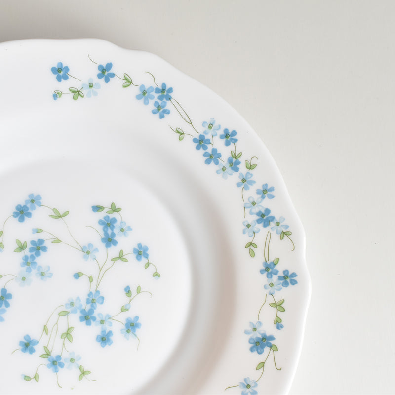 Vintage Deep Plate Arcopal Myosotis (Forget-Me-Not) A